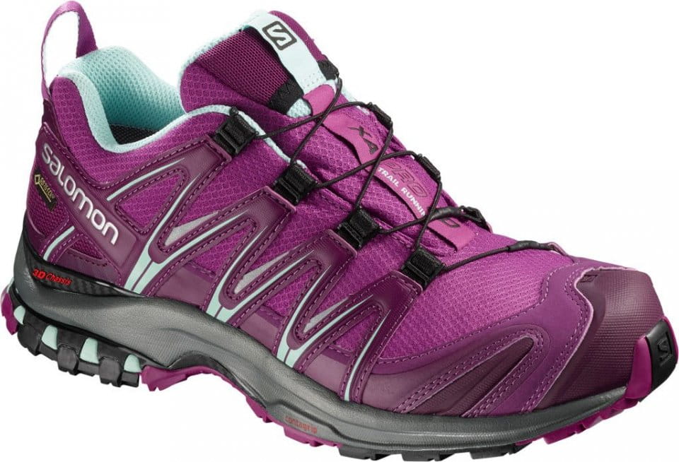 Trail-Schuhe Salomon XA PRO 3D GTX® W