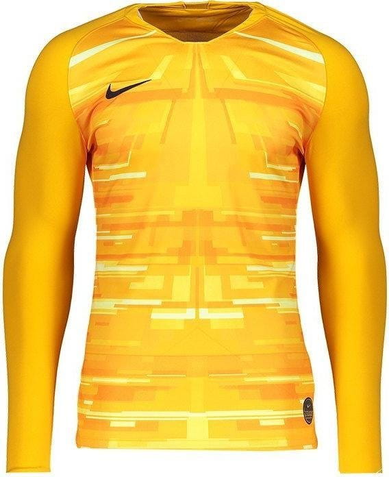 Langarmtrikot Nike Promo GK jersey LS